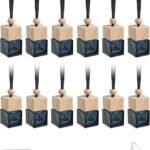 12Pcs Stylish Car Air Freshener Diffuser Set