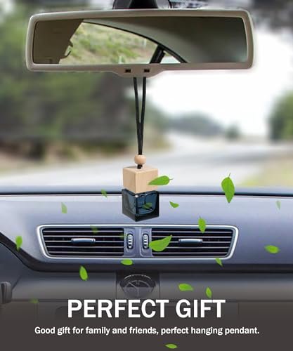 12Pcs Stylish Car Air Freshener Diffuser Set